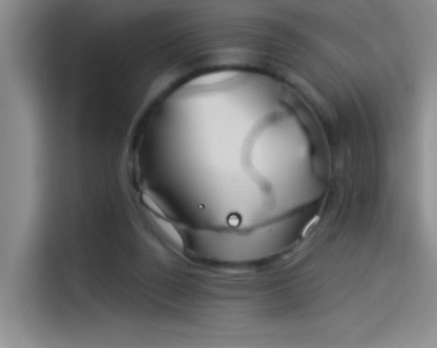 X0000114080160200910131243