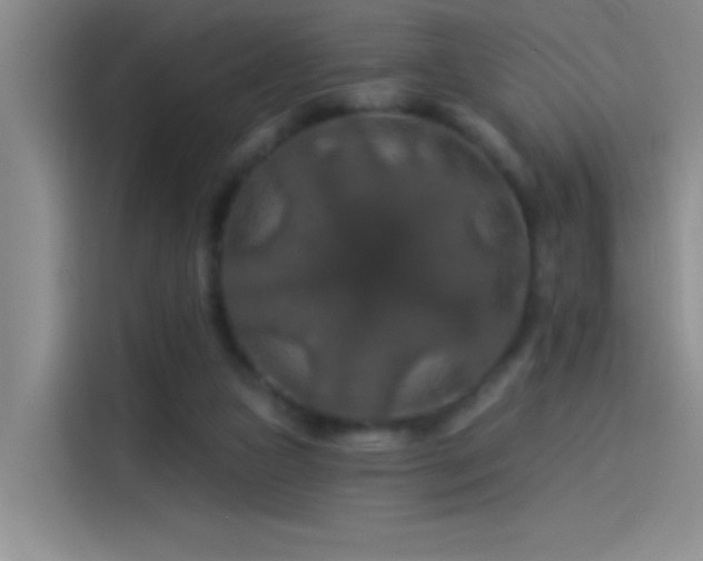 X0000114080161200910131243