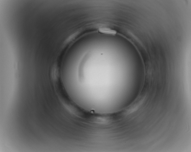 X0000114080164200910131243