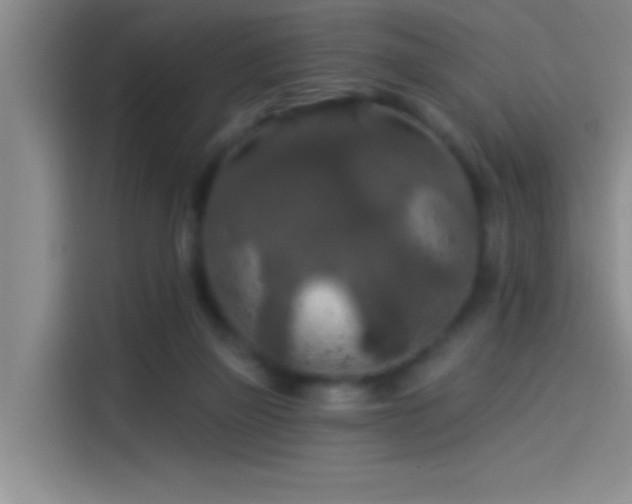 X0000114080165200910131243