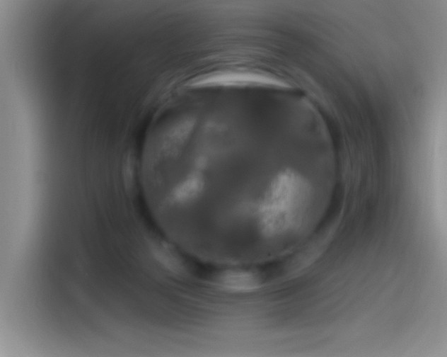 X0000114080169200910131243