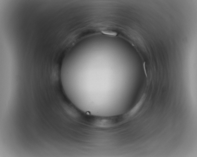 X0000114080174200910131243