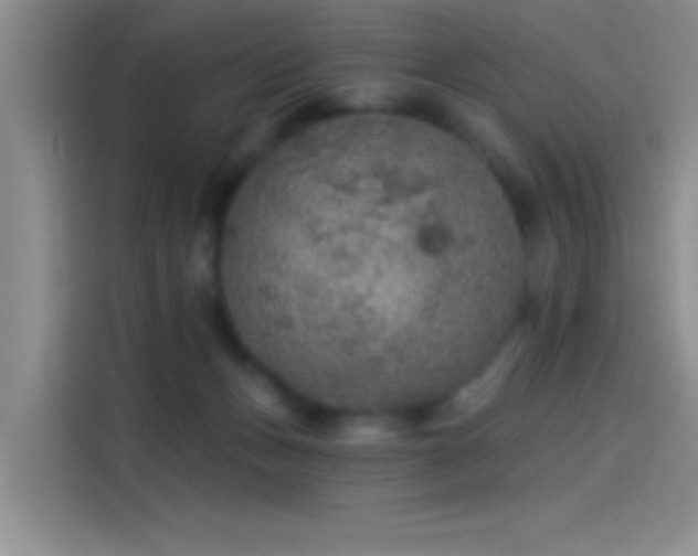 X0000114080175200910131243