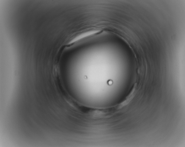 X0000114080180200910131244