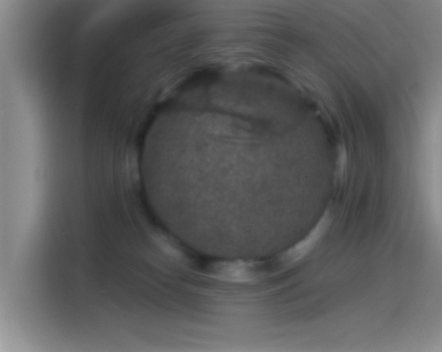 X0000114080182200910131244