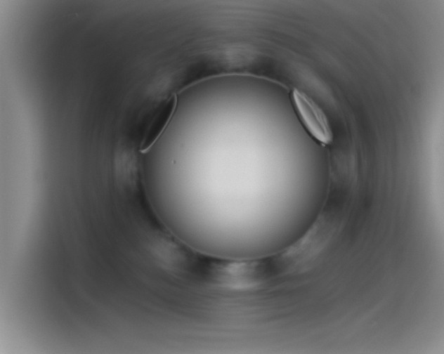 X0000114080184200910131244