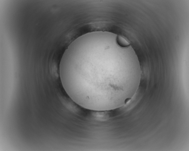 X0000114080187200910131244