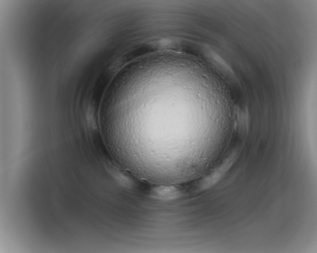 X0000114080189200910131244