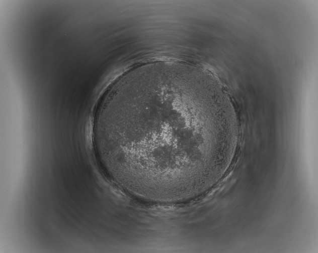 X0000114080194200910131243