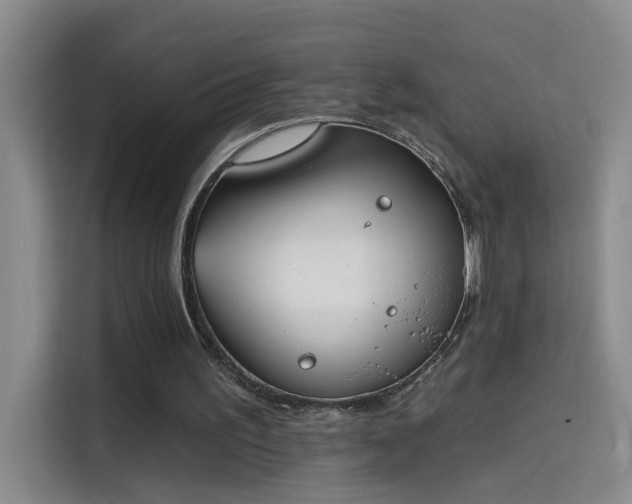 X0000114080195200910131243