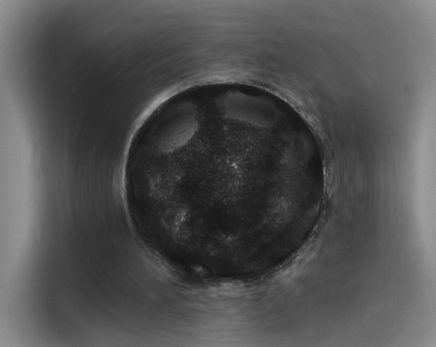 X0000114080196200910131243