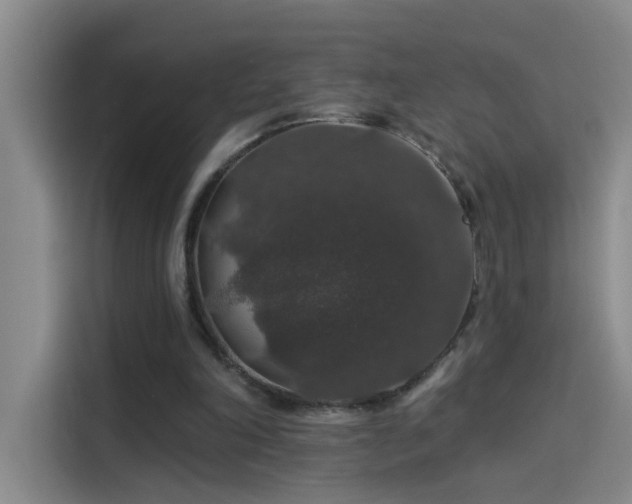 X0000114080198200910131243