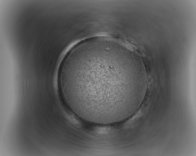 X0000114080200200910131243