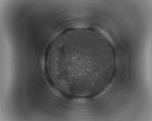 X0000114080202200910131243