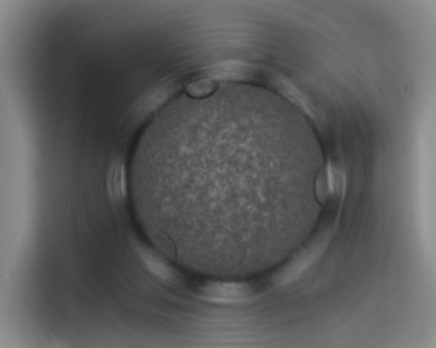 X0000114080205200910131243