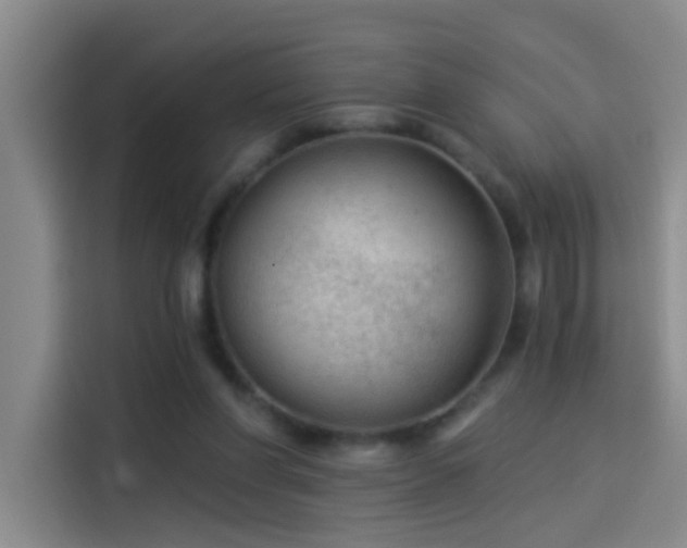 X0000114080206200910131243