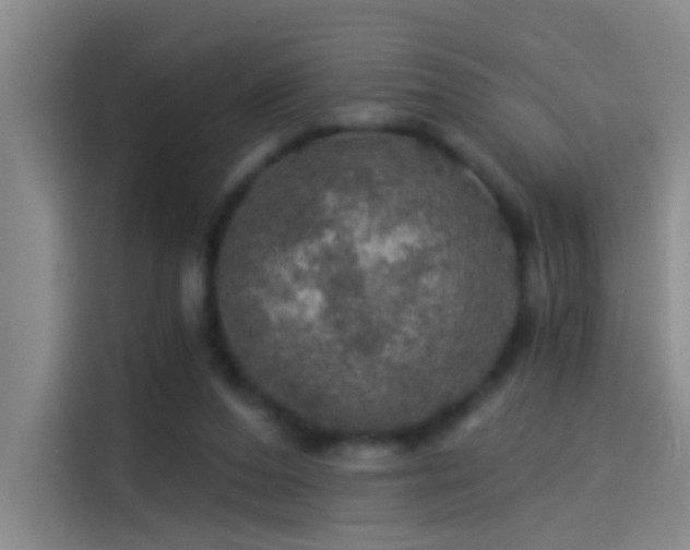 X0000114080208200910131243