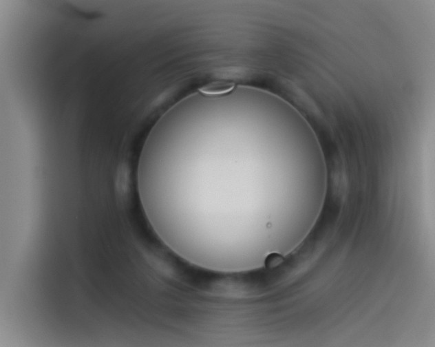 X0000114080211200910131243