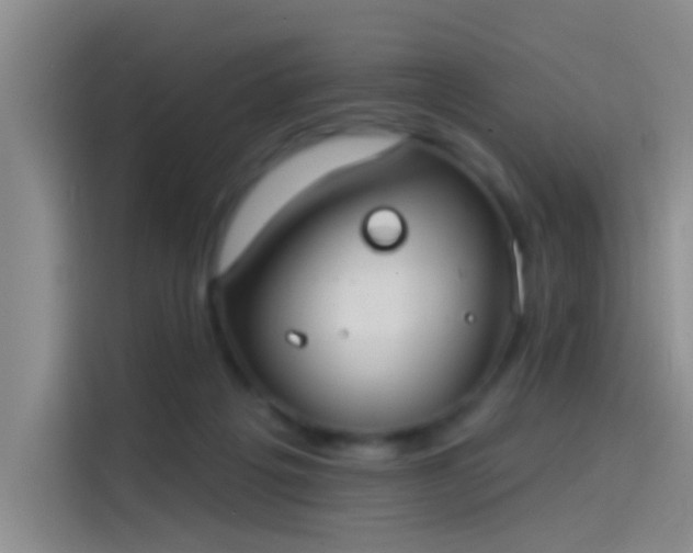 X0000114080217200910131243