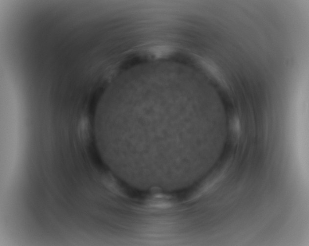 X0000114080222200910131243