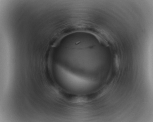 X0000114080223200910131243