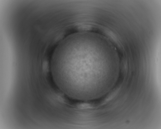 X0000114080224200910131243