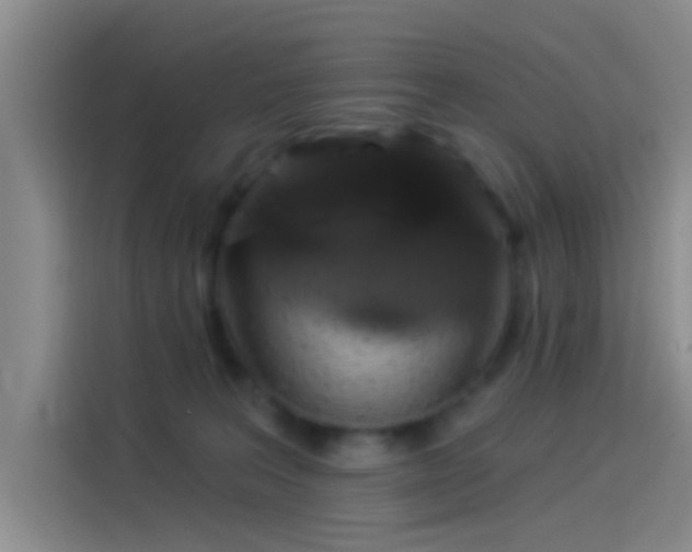 X0000114080227200910131243