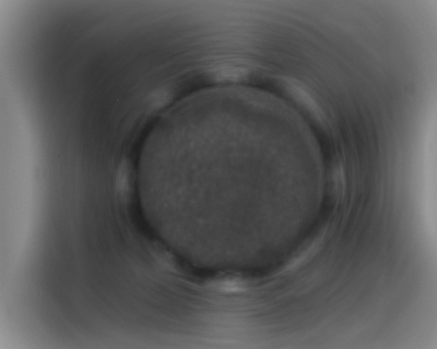 X0000114080228200910131243