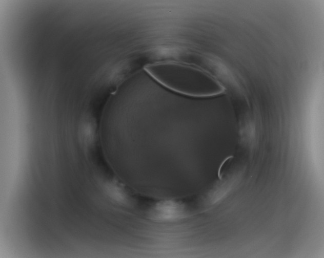 X0000114080231200910131243