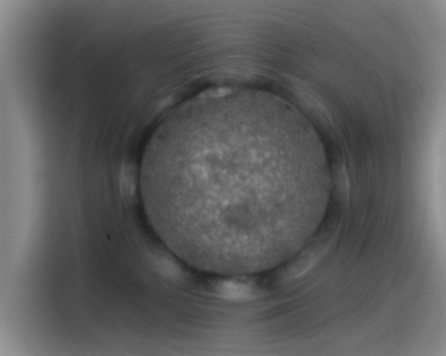 X0000114080232200910131243