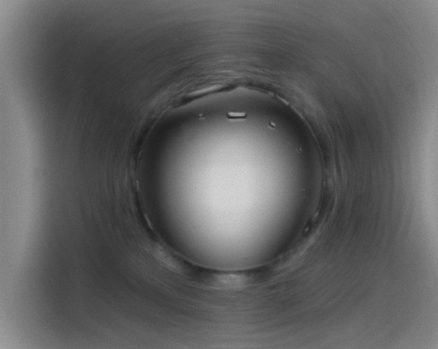 X0000114080233200910131243