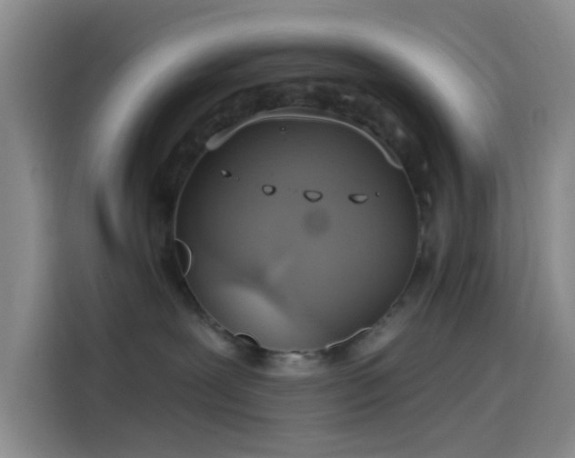 X0000114080239200910131242