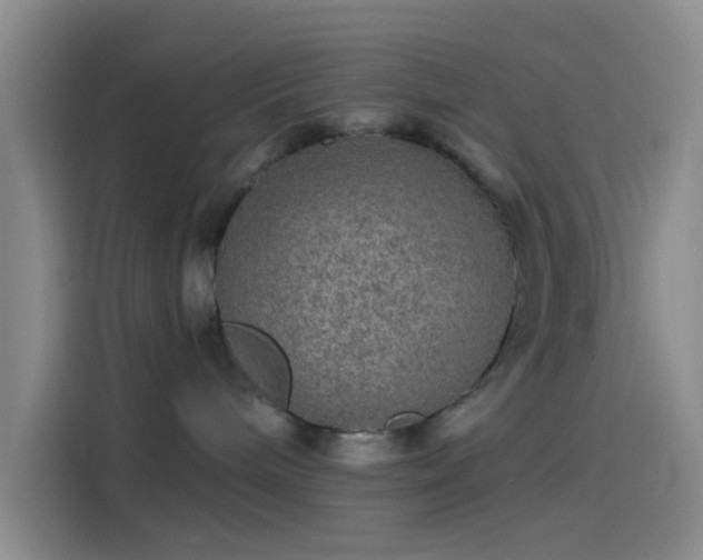 X0000114080240200910131242