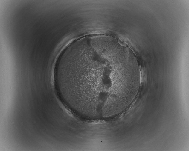 X0000114080243200910131242