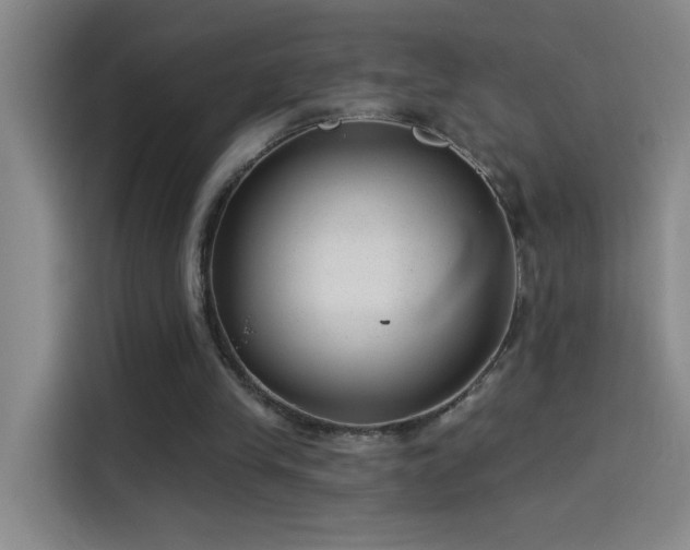 X0000114080245200910131242