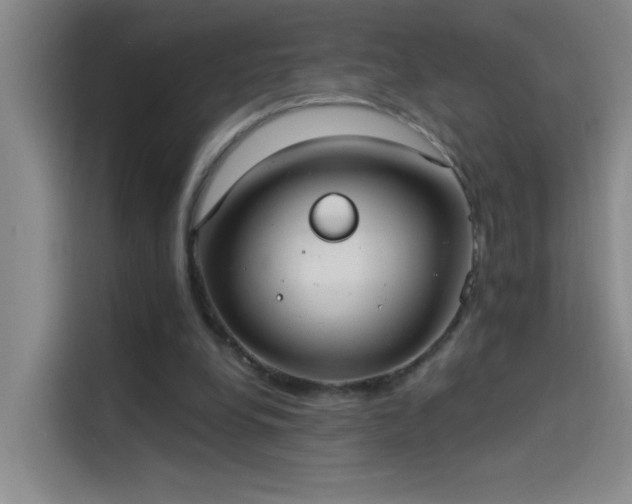 X0000114080248200910131242