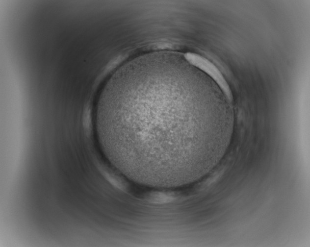 X0000114080250200910131242