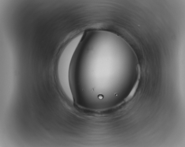 X0000114080256200910131242