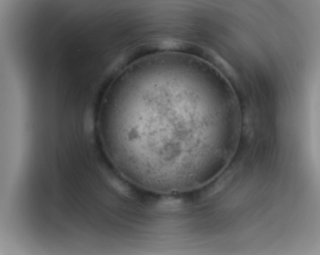 X0000114080257200910131242