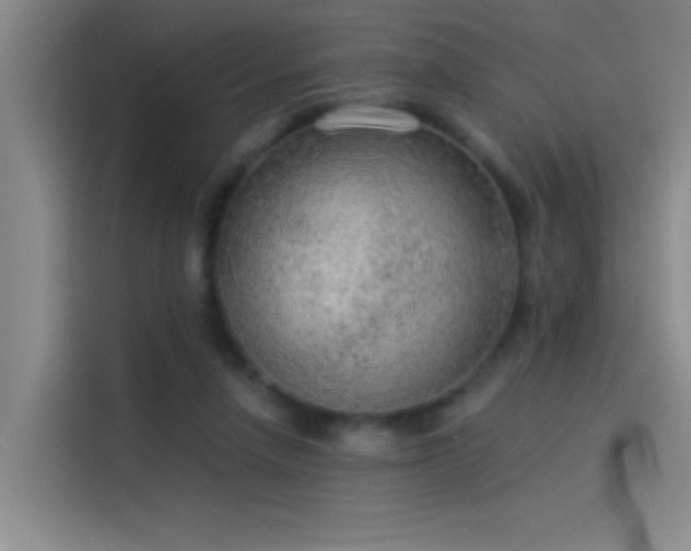 X0000114080258200910131242