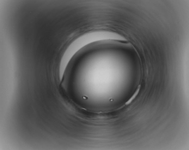 X0000114080260200910131242