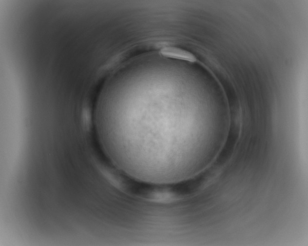 X0000114080262200910131242