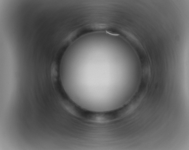 X0000114080264200910131242