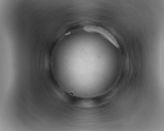 X0000114080266200910131242