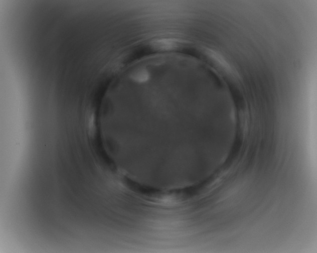 X0000114080267200910131242