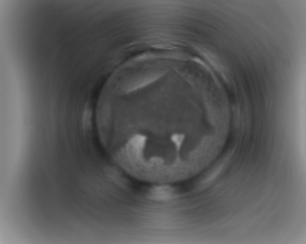 X0000114080269200910131242