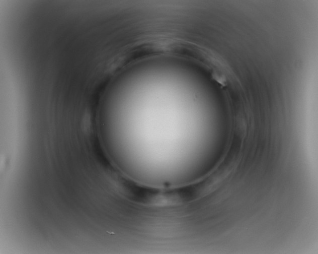 X0000114080270200910131242