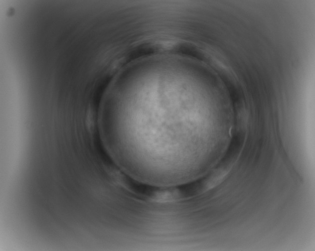 X0000114080274200910131242