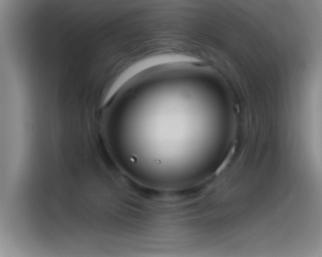 X0000114080276200910131242