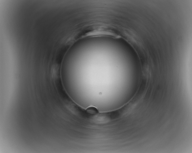 X0000114080280200910131242